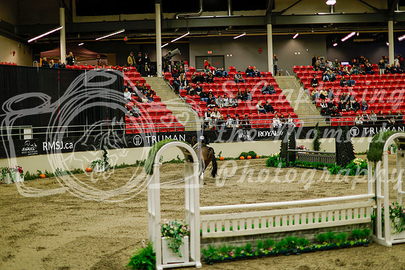 2025 - Haylee - Royal West - Saturday October 18th - 08493