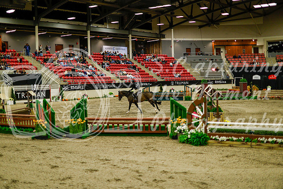 2025 - Haylee - Royal West - Saturday October 18th - 08494