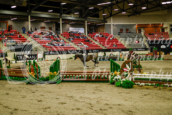 2025 - Haylee - Royal West - Saturday October 18th - 08495