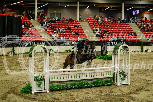 2025 - Haylee - Royal West - Saturday October 18th - 08497