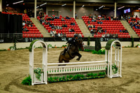 2025 - Haylee - Royal West - Saturday October 18th - 08496