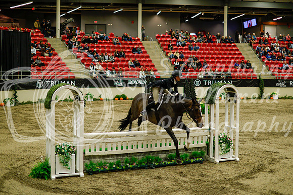 2025 - Haylee - Royal West - Saturday October 18th - 08499