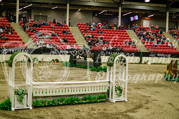 2025 - Haylee - Royal West - Saturday October 18th - 08501