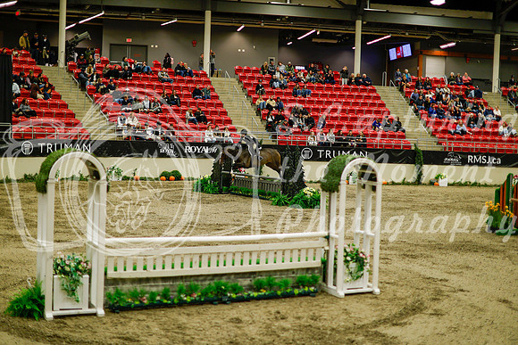 2025 - Haylee - Royal West - Saturday October 18th - 08502