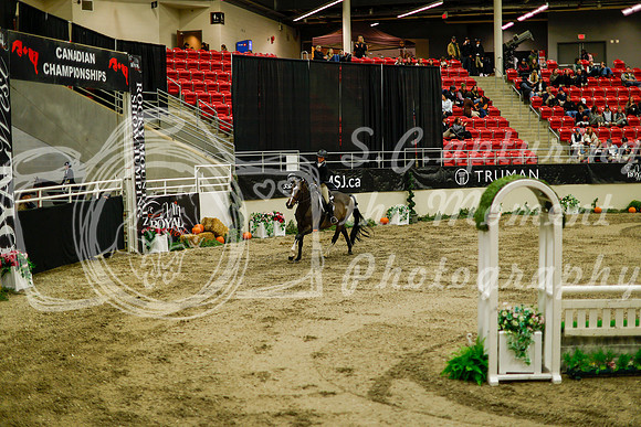2025 - Haylee - Royal West - Saturday October 18th - 08503