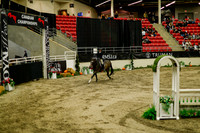 2025 - Haylee - Royal West - Saturday October 18th - 08504