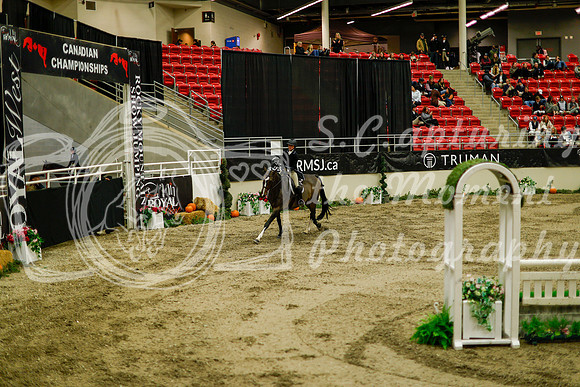 2025 - Haylee - Royal West - Saturday October 18th - 08504