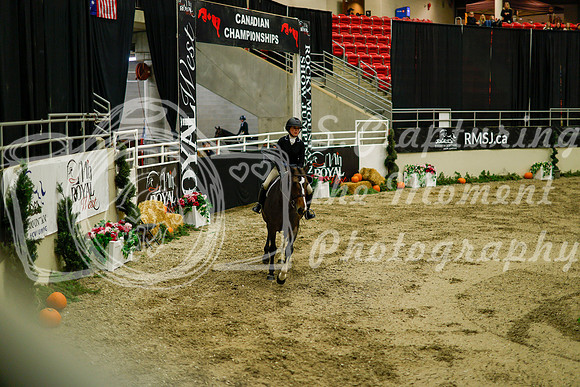 2025 - Haylee - Royal West - Saturday October 18th - 08505