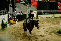 2025 - Haylee - Royal West - Saturday October 18th - 08507
