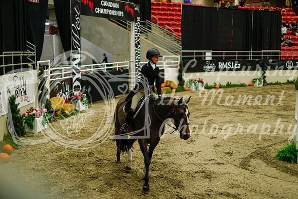 2025 - Haylee - Royal West - Saturday October 18th - 08507