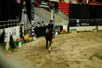 2025 - Haylee - Royal West - Saturday October 18th - 08506