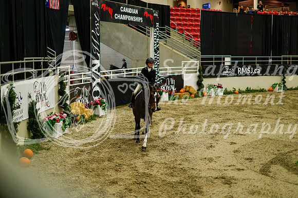 2025 - Haylee - Royal West - Saturday October 18th - 08506