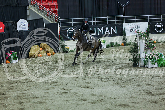 2025 - Shea - Royal West - Saturday October 18th - 06124
