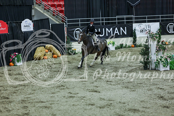 2025 - Shea - Royal West - Saturday October 18th - 06125