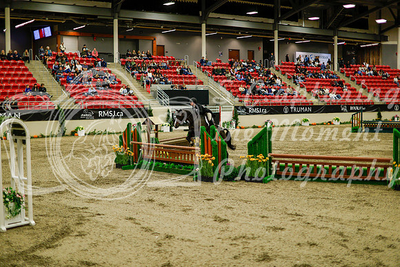 2025 - Haylee - Royal West - Saturday October 18th - 08512