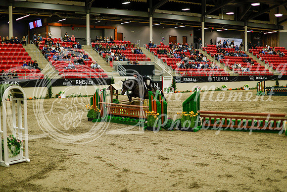 2025 - Haylee - Royal West - Saturday October 18th - 08513