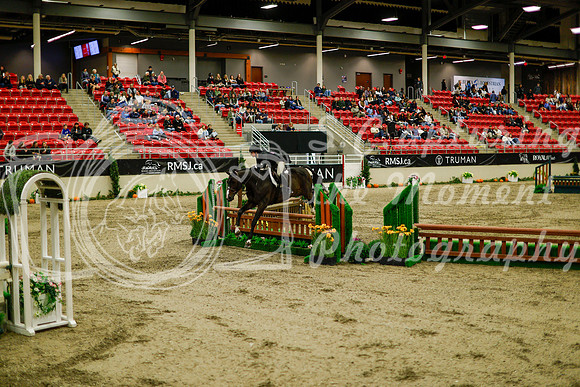 2025 - Haylee - Royal West - Saturday October 18th - 08515