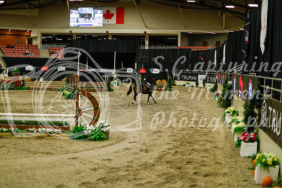 2025 - Haylee - Royal West - Saturday October 18th - 08517