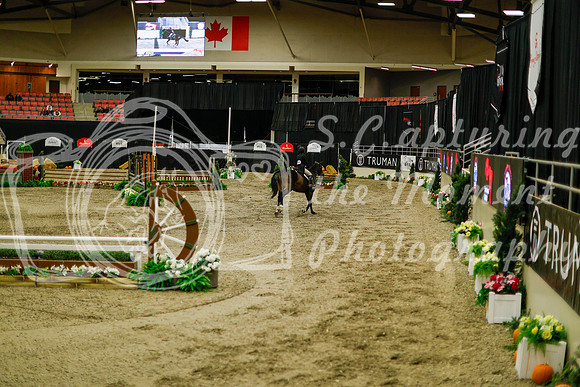 2025 - Haylee - Royal West - Saturday October 18th - 08518