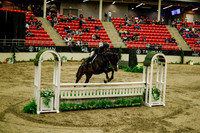 2025 - Haylee - Royal West - Saturday October 18th - 08520