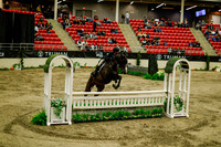 2025 - Haylee - Royal West - Saturday October 18th - 08519