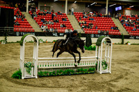 2025 - Haylee - Royal West - Saturday October 18th - 08521