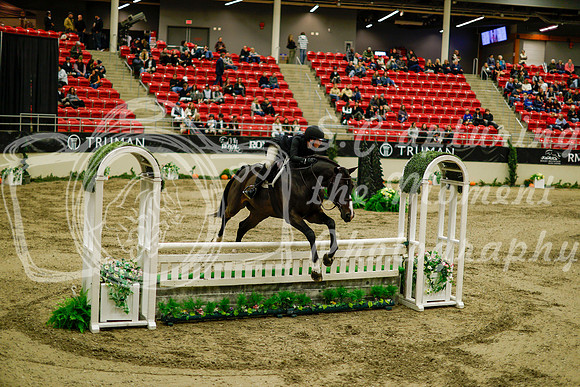 2025 - Haylee - Royal West - Saturday October 18th - 08521