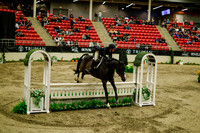 2025 - Haylee - Royal West - Saturday October 18th - 08522