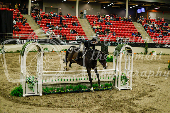 2025 - Haylee - Royal West - Saturday October 18th - 08522