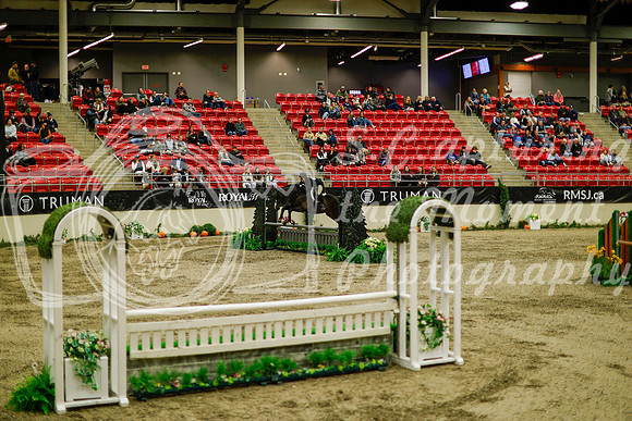 2025 - Haylee - Royal West - Saturday October 18th - 08525