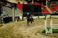 2025 - Haylee - Royal West - Saturday October 18th - 08527