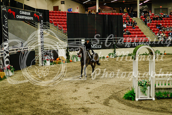 2025 - Haylee - Royal West - Saturday October 18th - 08527