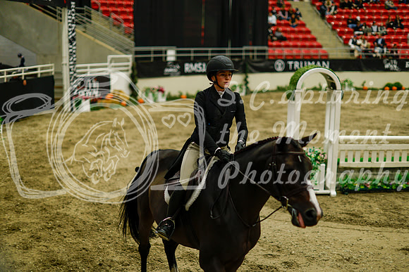 2025 - Haylee - Royal West - Saturday October 18th - 08531