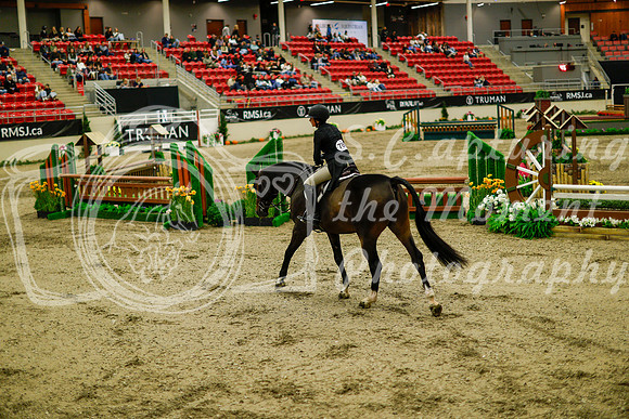 2025 - Haylee - Royal West - Saturday October 18th - 08532