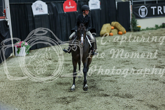 2025 - Shea - Royal West - Saturday October 18th - 06178