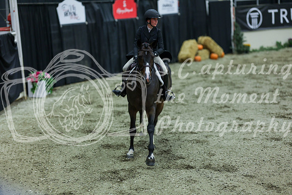 2025 - Shea - Royal West - Saturday October 18th - 06179