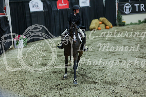 2025 - Shea - Royal West - Saturday October 18th - 06180