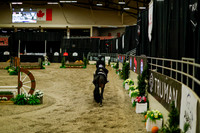 2025 - Haylee - Royal West - Saturday October 18th - 08423