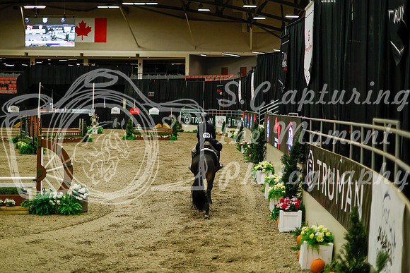 2025 - Haylee - Royal West - Saturday October 18th - 08423