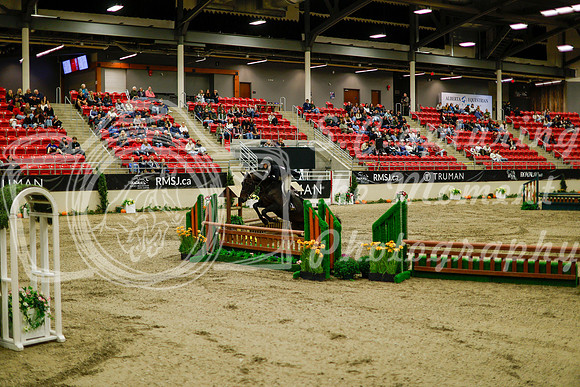 2025 - Haylee - Royal West - Saturday October 18th - 08424