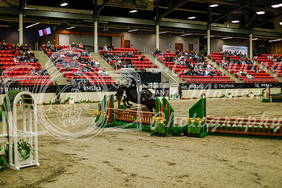 2025 - Haylee - Royal West - Saturday October 18th - 08425