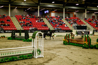 2025 - Haylee - Royal West - Saturday October 18th - 08427