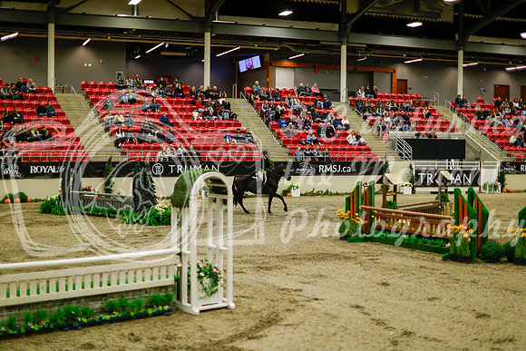 2025 - Haylee - Royal West - Saturday October 18th - 08427