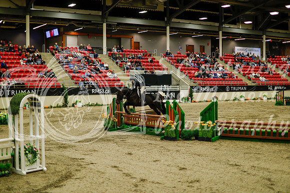 2025 - Haylee - Royal West - Saturday October 18th - 08426