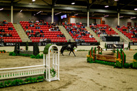 2025 - Haylee - Royal West - Saturday October 18th - 08428