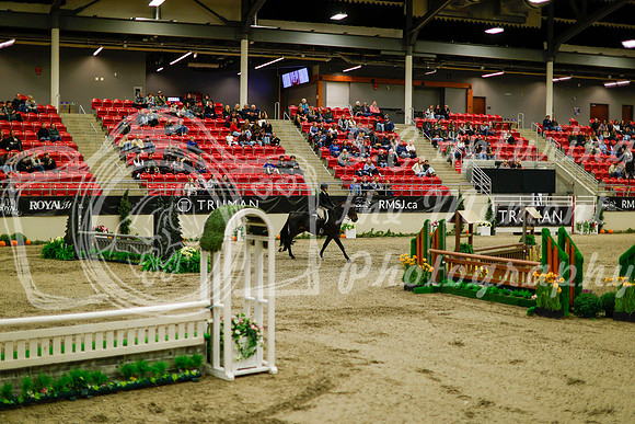 2025 - Haylee - Royal West - Saturday October 18th - 08428