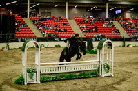 2025 - Haylee - Royal West - Saturday October 18th - 08429