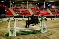 2025 - Haylee - Royal West - Saturday October 18th - 08430