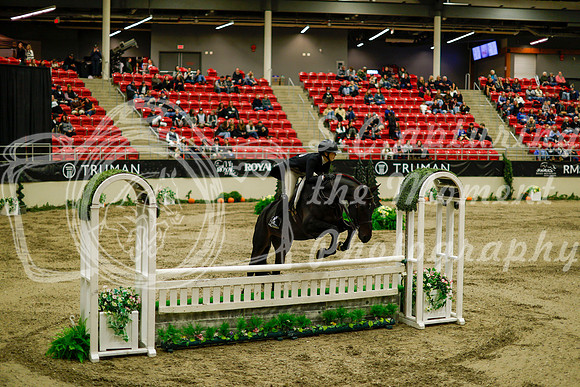2025 - Haylee - Royal West - Saturday October 18th - 08430