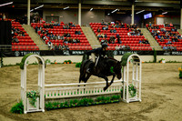 2025 - Haylee - Royal West - Saturday October 18th - 08431